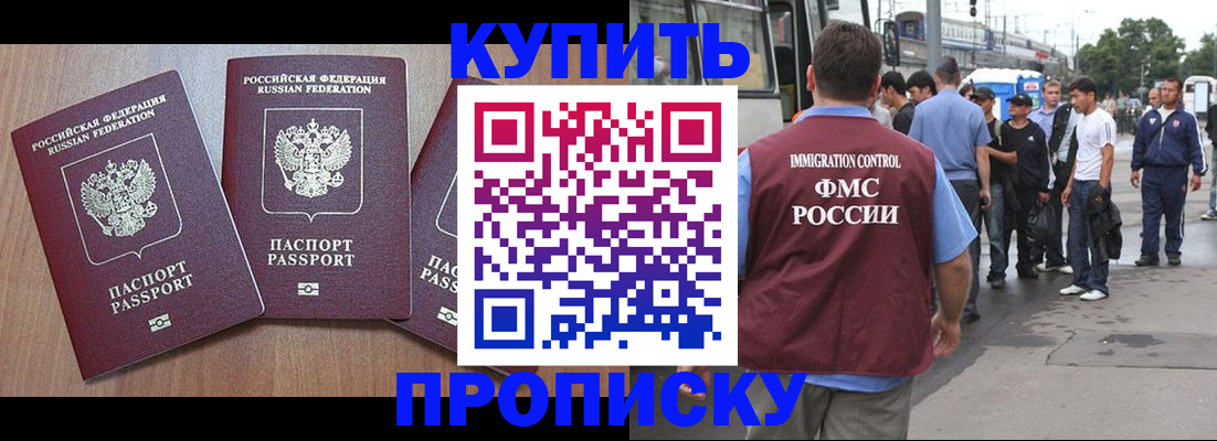 прописка 2025 в Краснодаре